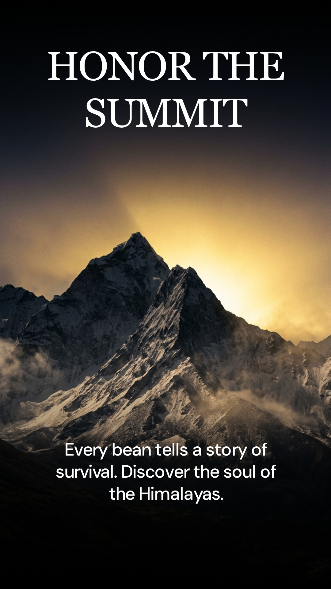 Lhotse Brew 3