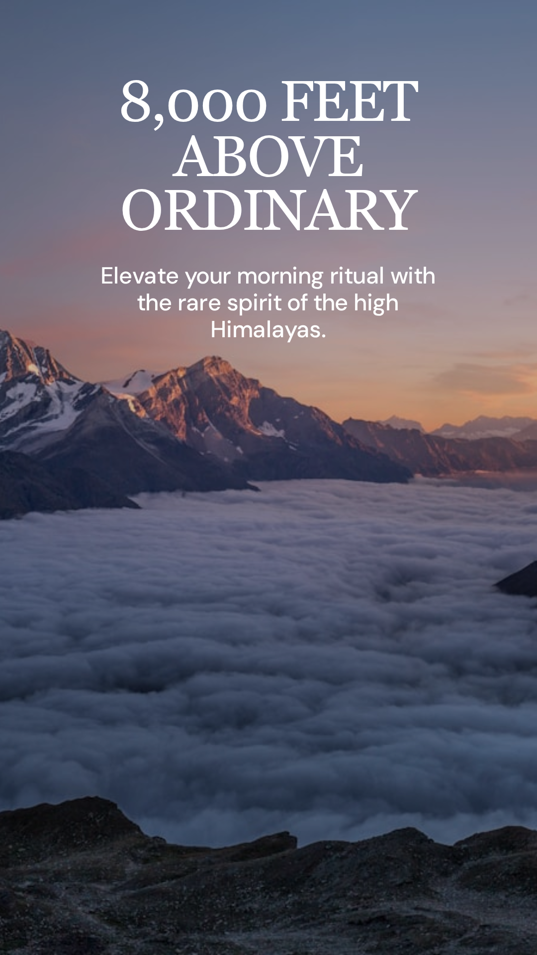 Lhotse Brew 4