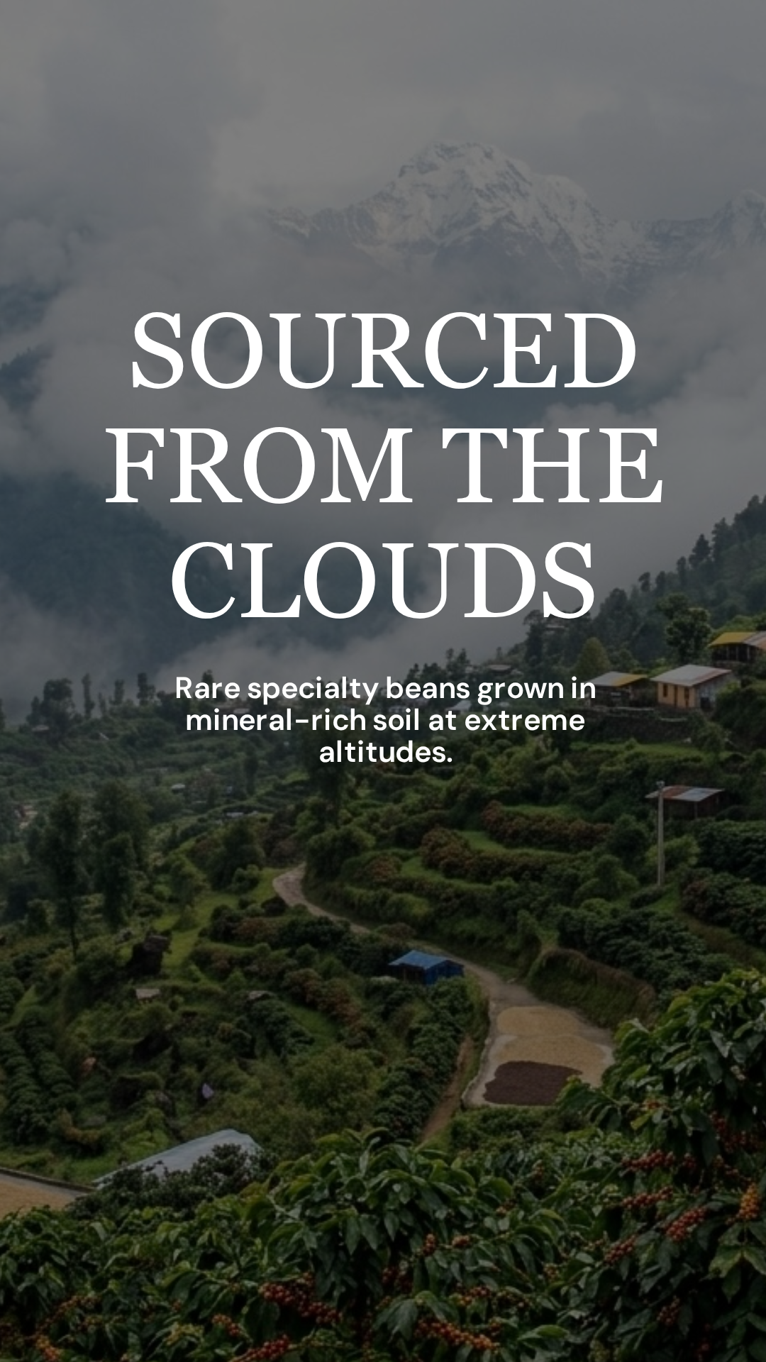 Lhotse Brew 5